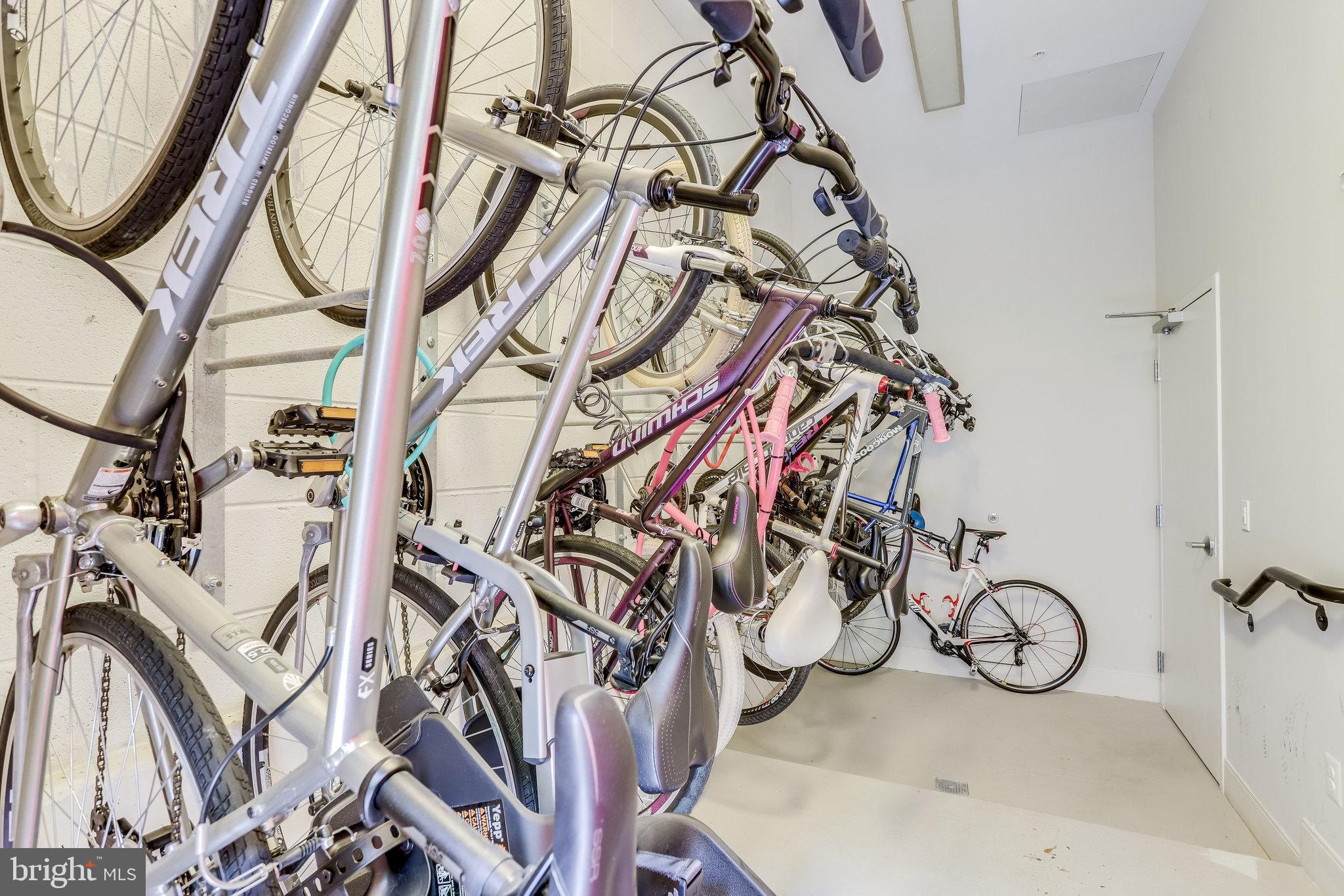 TRAFALGAR FLATS - Residential Lease