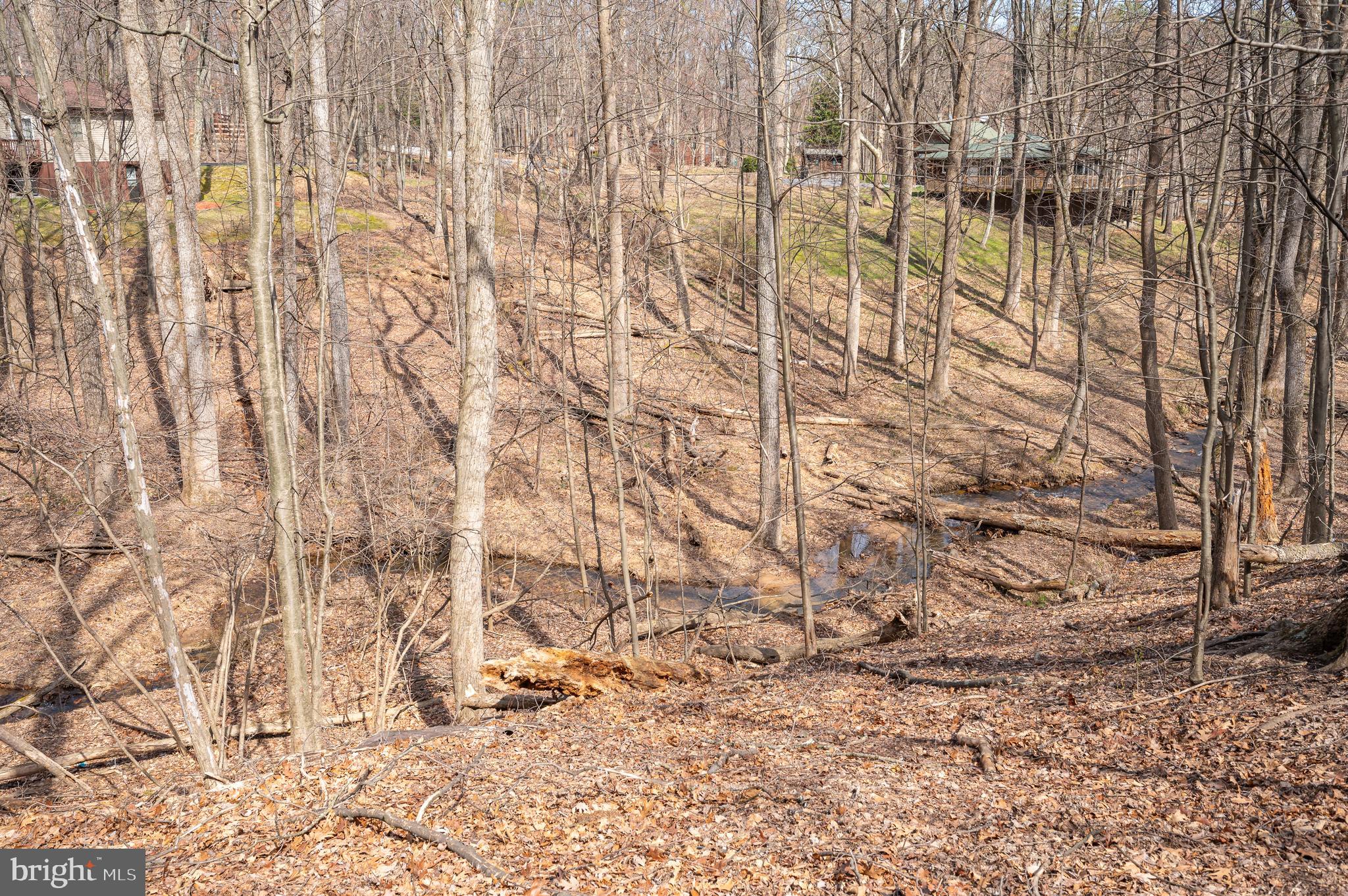 THE WOODS RESORT - Residential