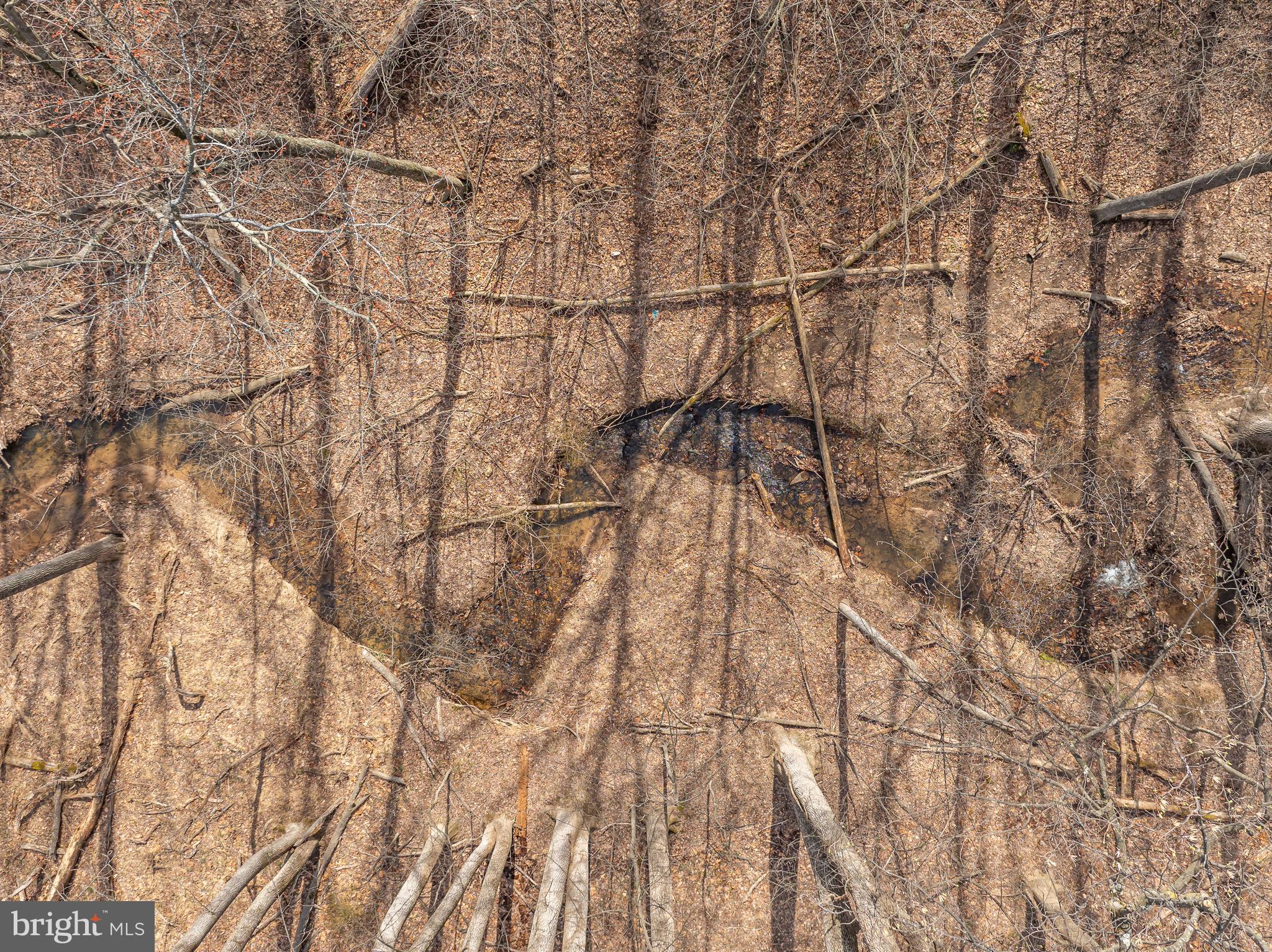 THE WOODS RESORT - Residential