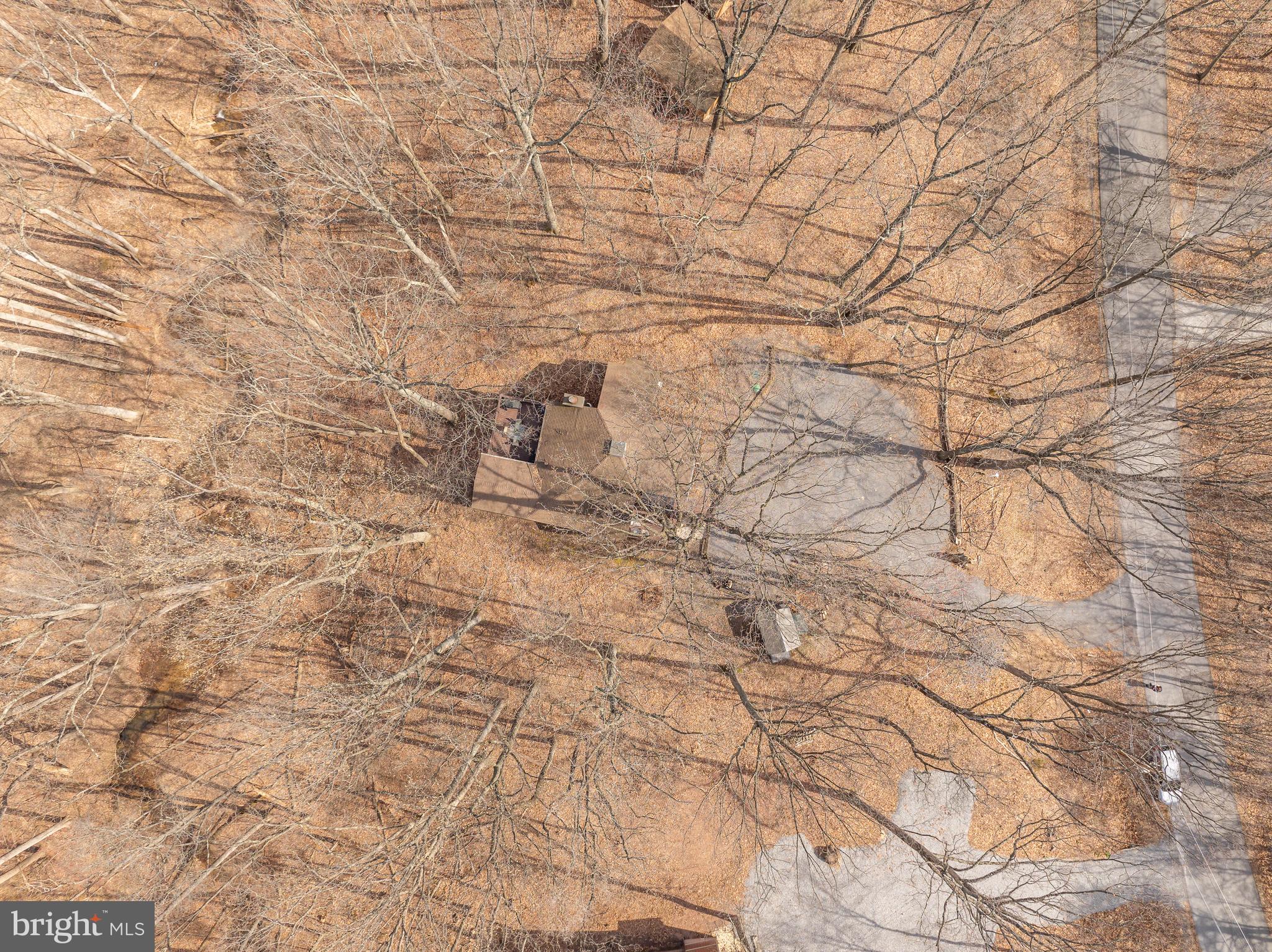 THE WOODS RESORT - Residential