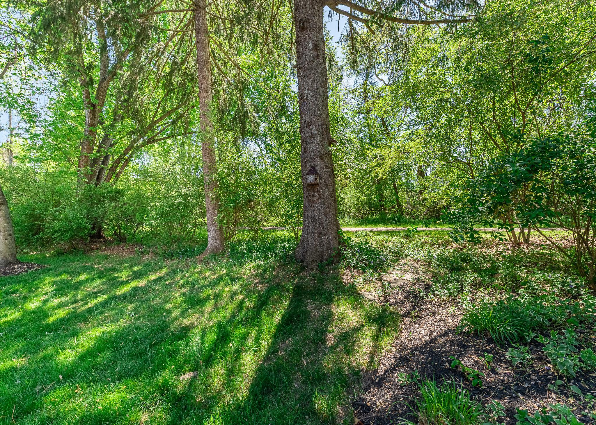 VILLAGE OF RIVER HILL - Residential