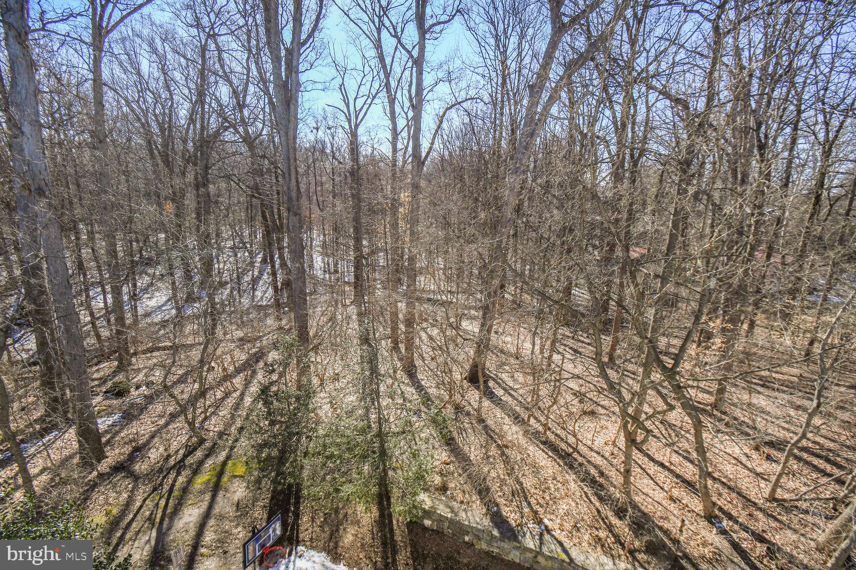 NATIONAL PARK SEMINARY - Residential