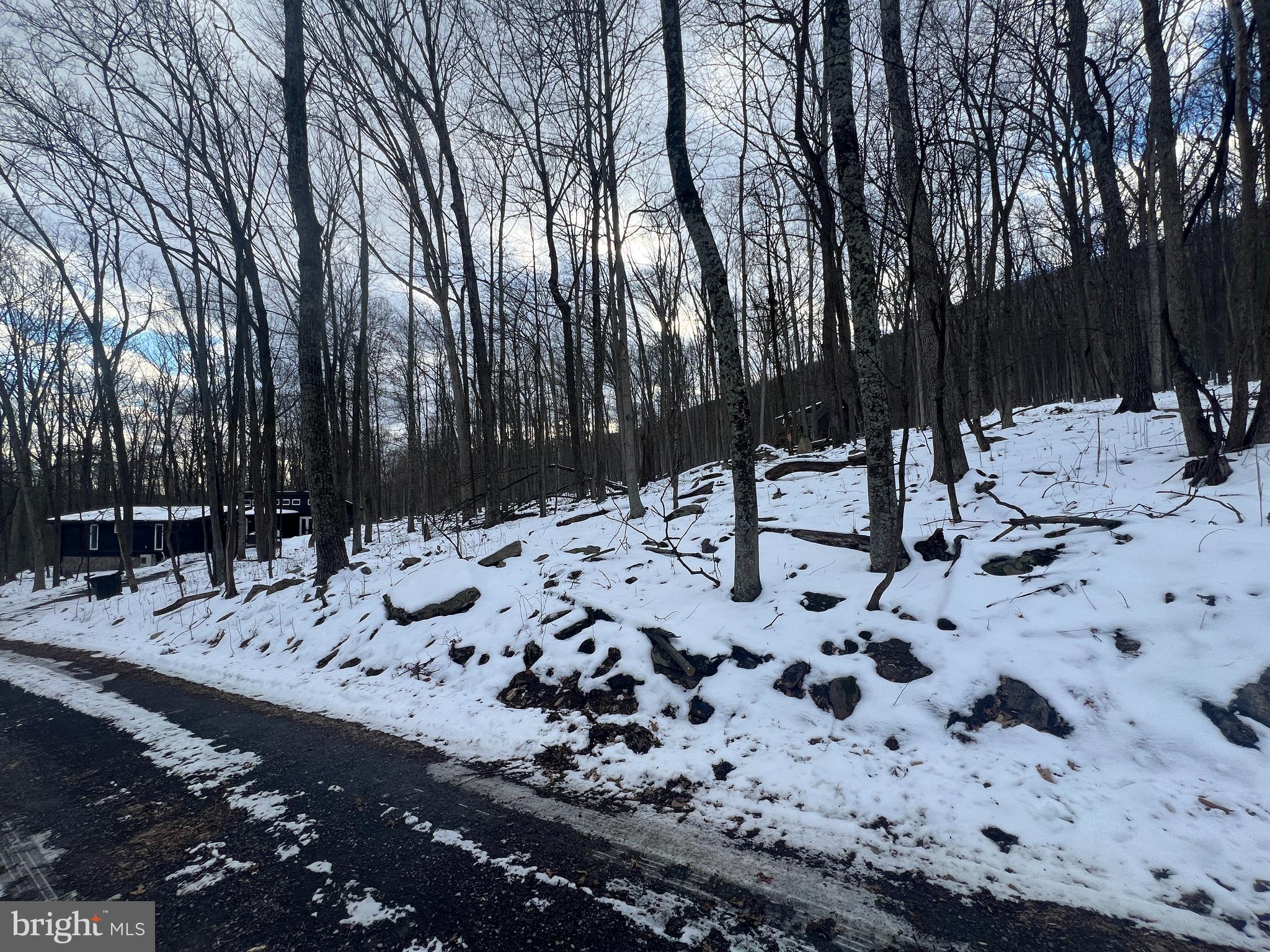 Multiple Offers- Highest and Best Due 2/4/25 at 5pm
Discover the perfect opportunity to build your dream home in the desirable Coolfont Mountainside in Berkeley Springs, WV! This potential building lot offers access to public utilities, making development easy. Enjoy all the community amenities, including a pool, hot tub, hiking trails, and tennis/basketball courts. Nestled in a peaceful, wooded setting, this lot provides the perfect blend of nature and convenience, just minutes from historic downtown Berkeley Springs. Don’t miss your chance to own a slice of this sought-after mountain retreat!