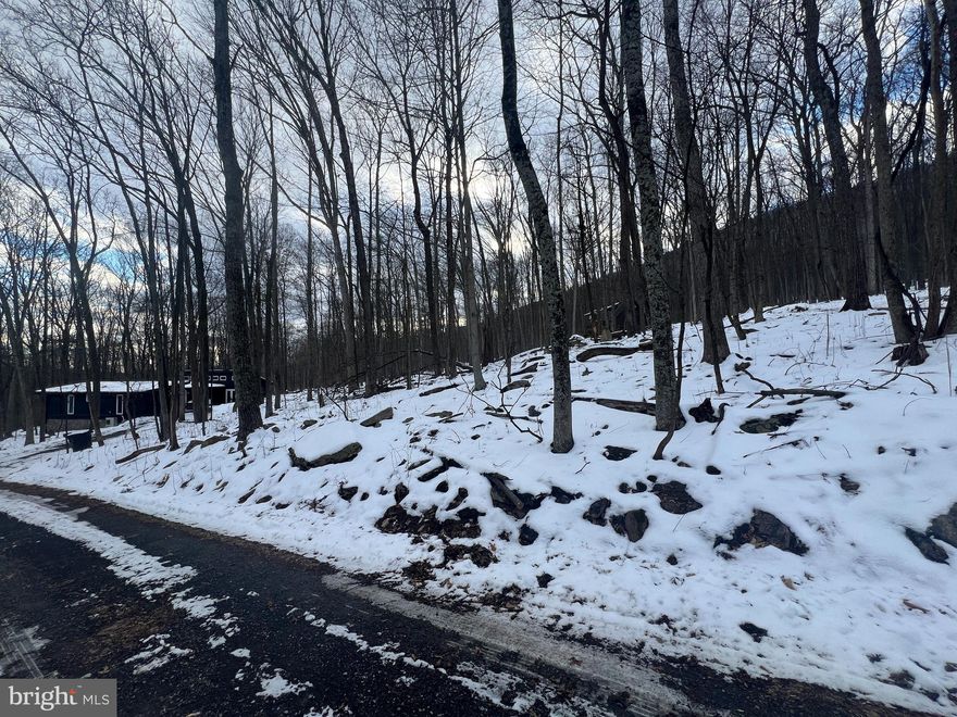 Multiple Offers- Highest and Best Due 2/4/25 at 5pm 

Discover the perfect opportunity to build your dream home in the desirable Coolfont Mountainside in Berkeley Springs, WV! This potential building lot offers access to public utilities, making development easy. Enjoy all the community amenities, including a pool, hot tub, hiking trails, and  tennis/basketball courts. Nestled in a peaceful, wooded setting, this lot provides the perfect blend of nature and convenience, just minutes from historic downtown Berkeley Springs. Don’t miss your chance to own a slice of this sought-after mountain retreat!