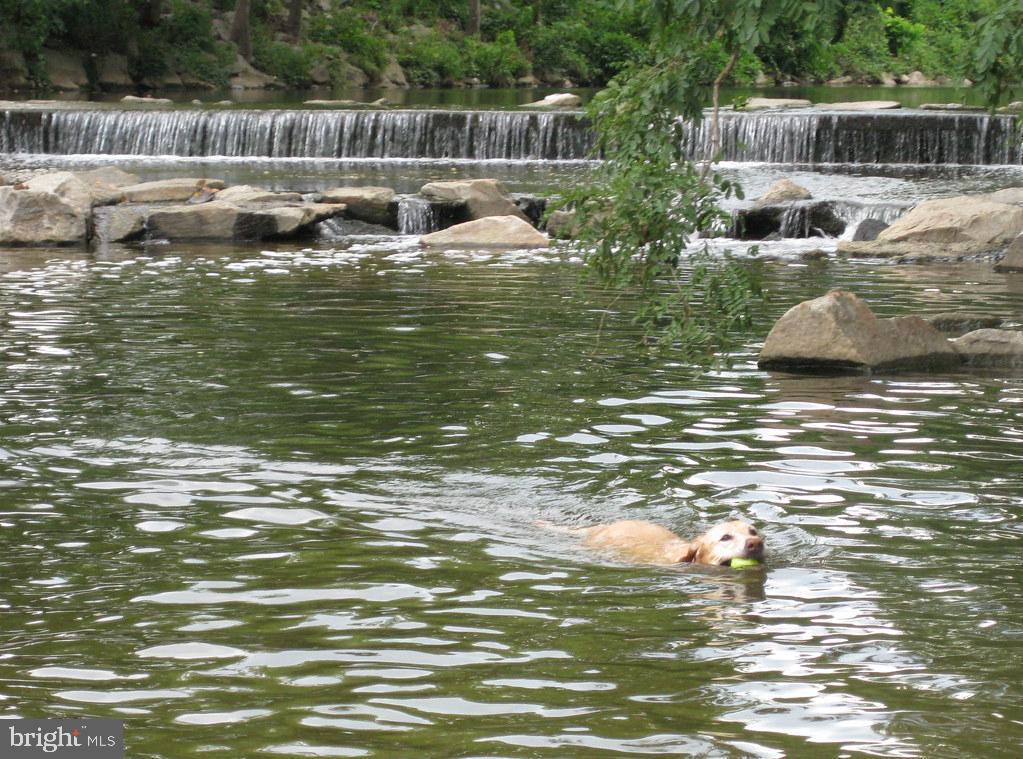 BOLLING BROOK - Residential Lease