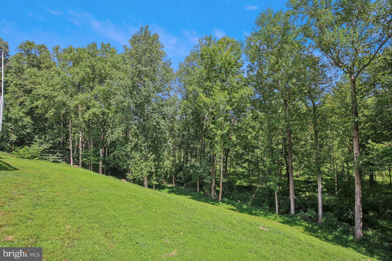 BROWNS MILL FOREST - Residential