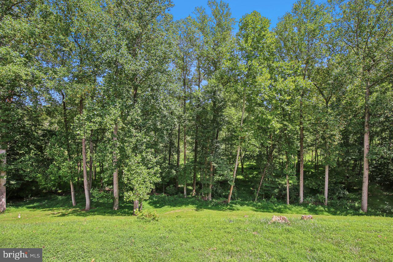 BROWNS MILL FOREST - Residential