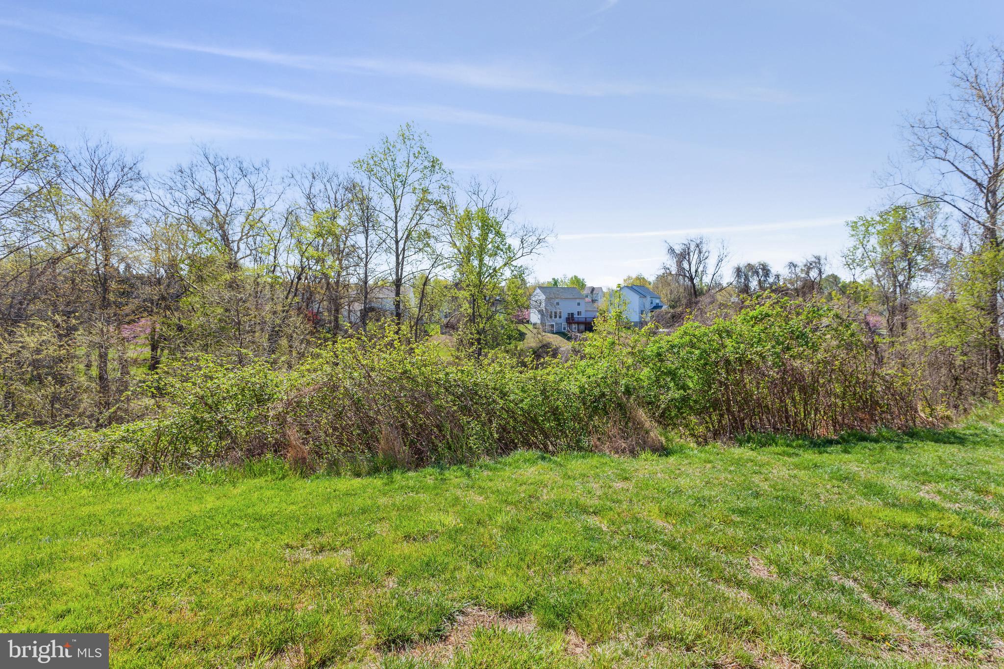 MONMOUTH MEADOWS - Residential