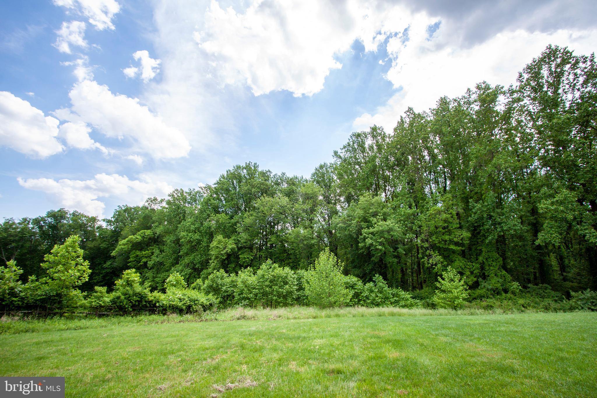 MONMOUTH MEADOWS - Residential