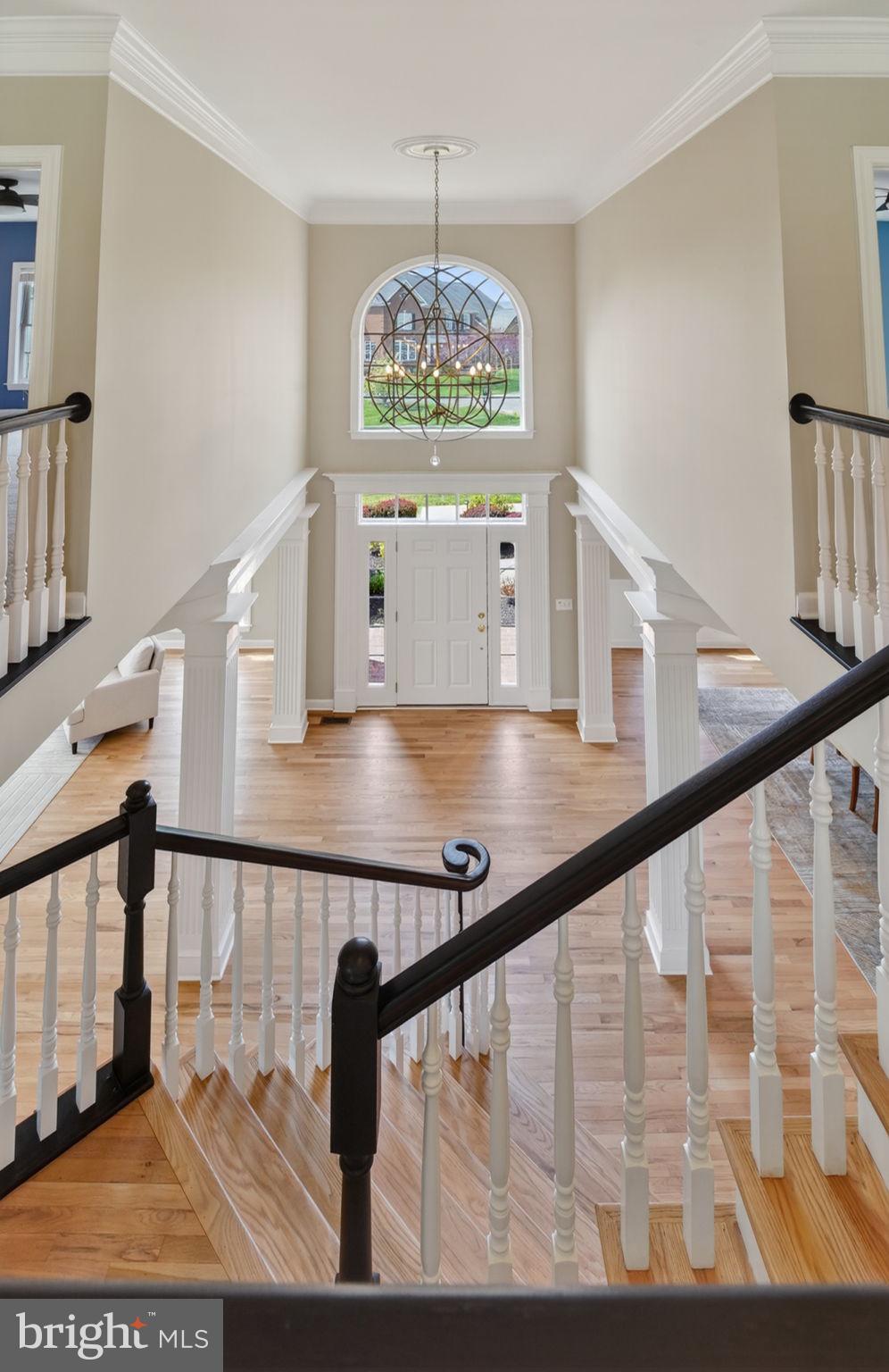 BELLE TERRA - Residential