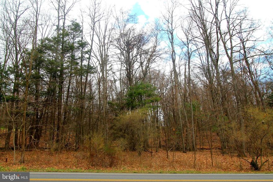 Beautiful lot on Two Mile Road! This two-acre parcel in The Woods at Sand Ridge offers privacy and seclusion but with easy access to I-80, restaurants, schools and many other destinations. There is public water and electric to the property and a perc test has already been completed. Build your dream home on this gorgeous lot!
