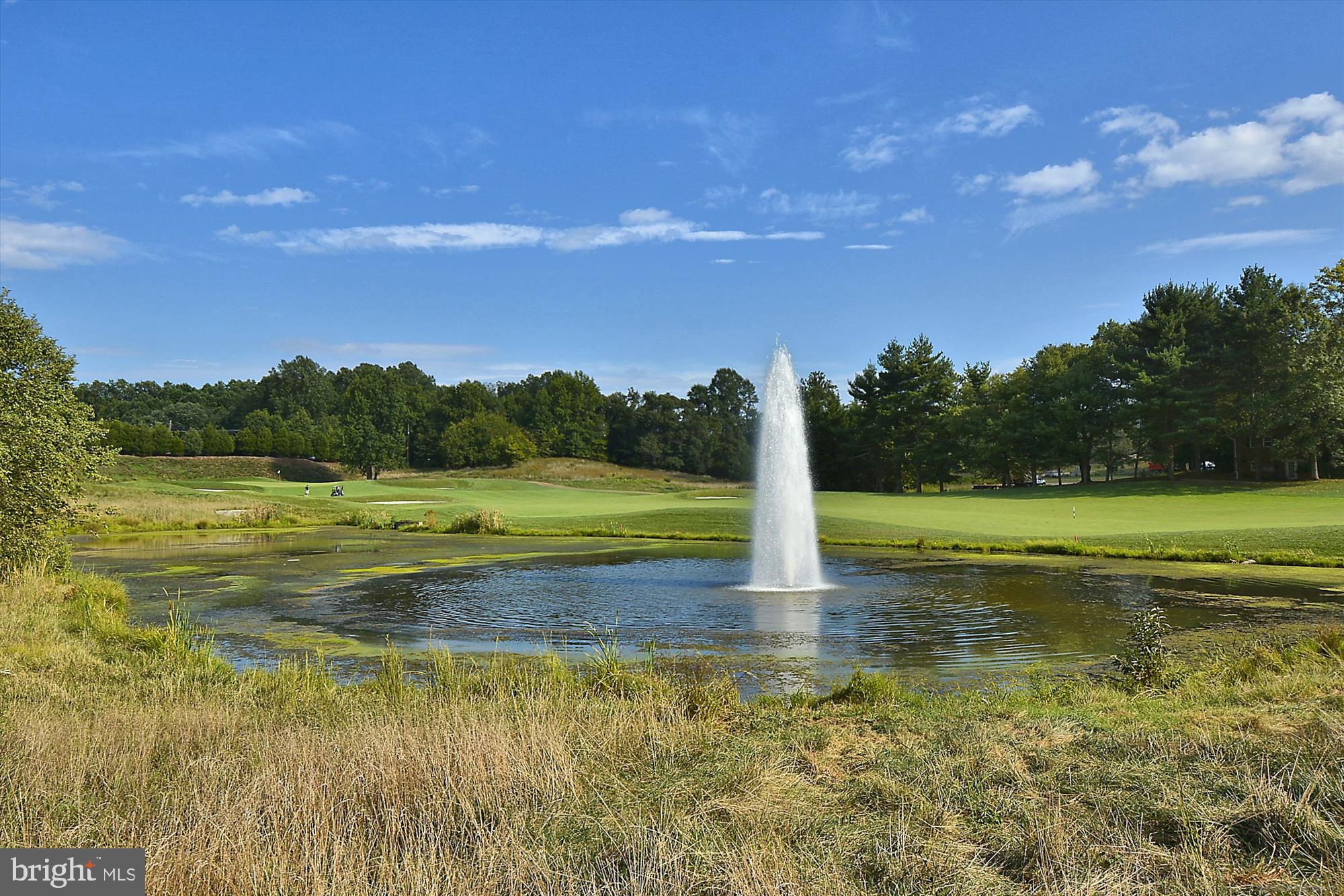 BEECH TREE EAST VILLAGE - Residential