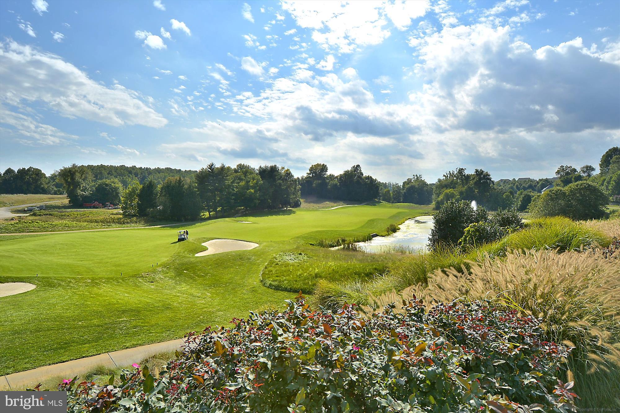 BEECH TREE EAST VILLAGE - Residential