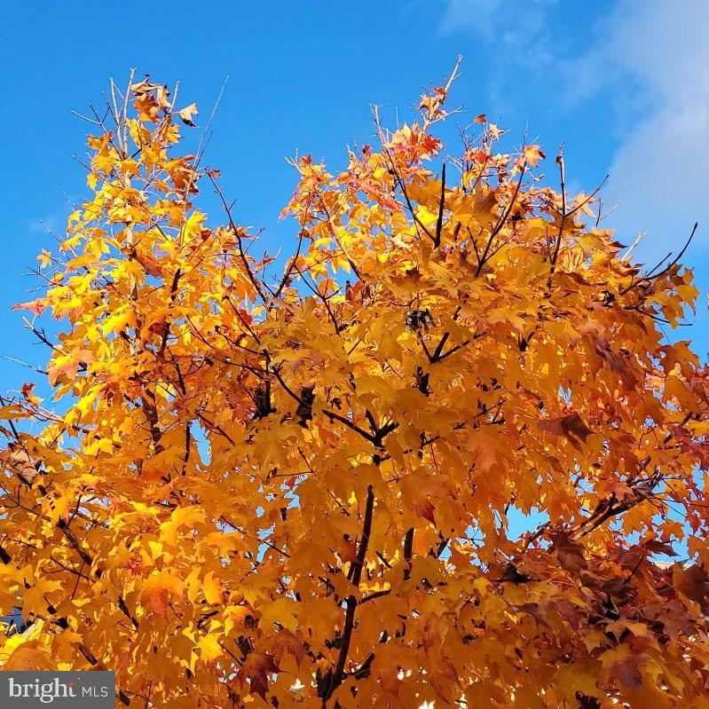 BALK HILL VILLAGE - Residential