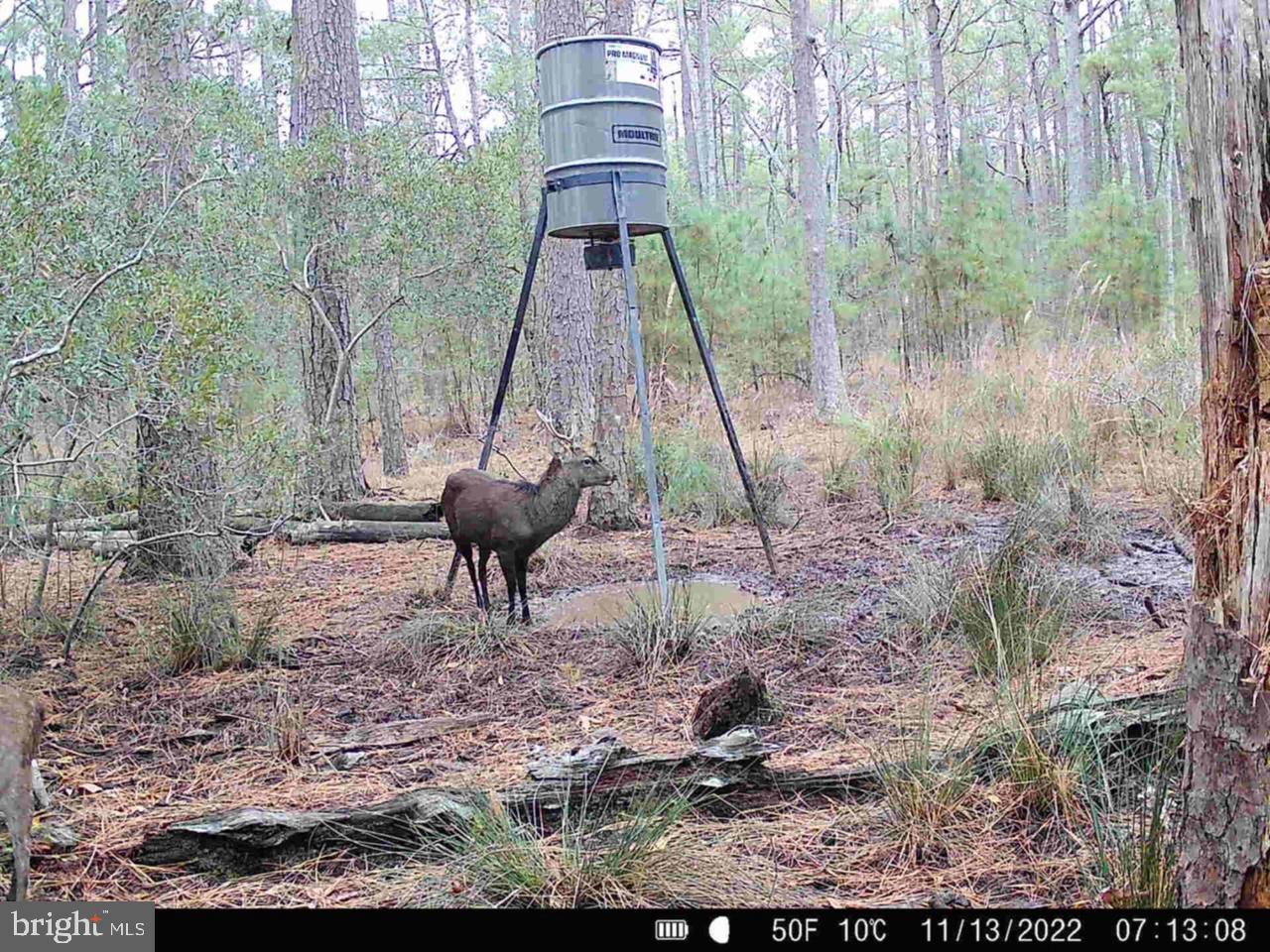 0 SHORTERS WHARF RD