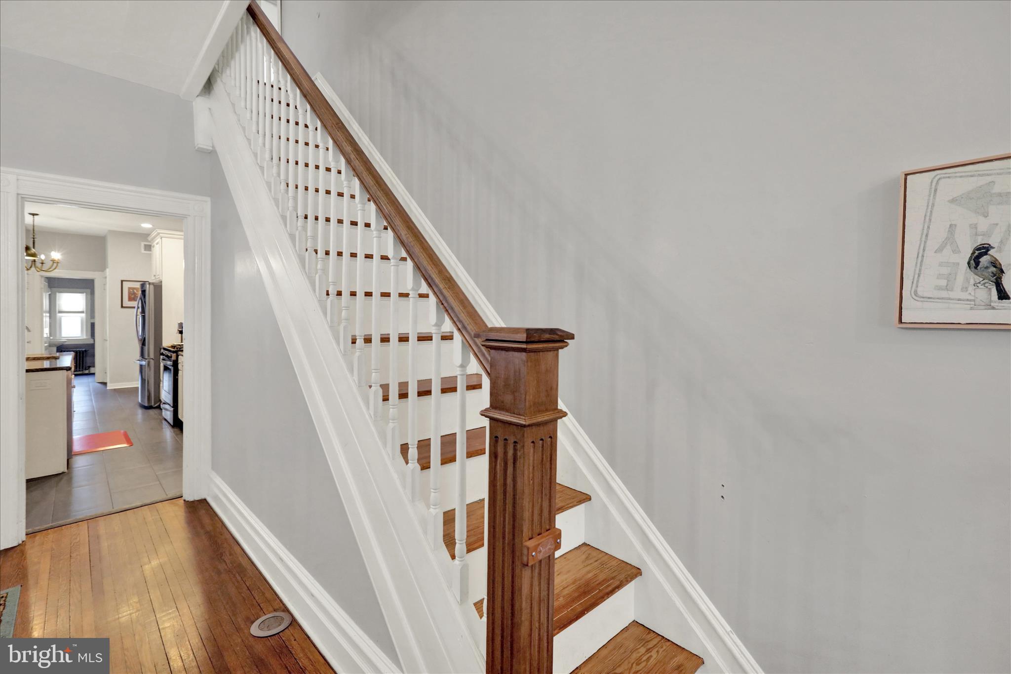 CHESTNUT HILL - Residential