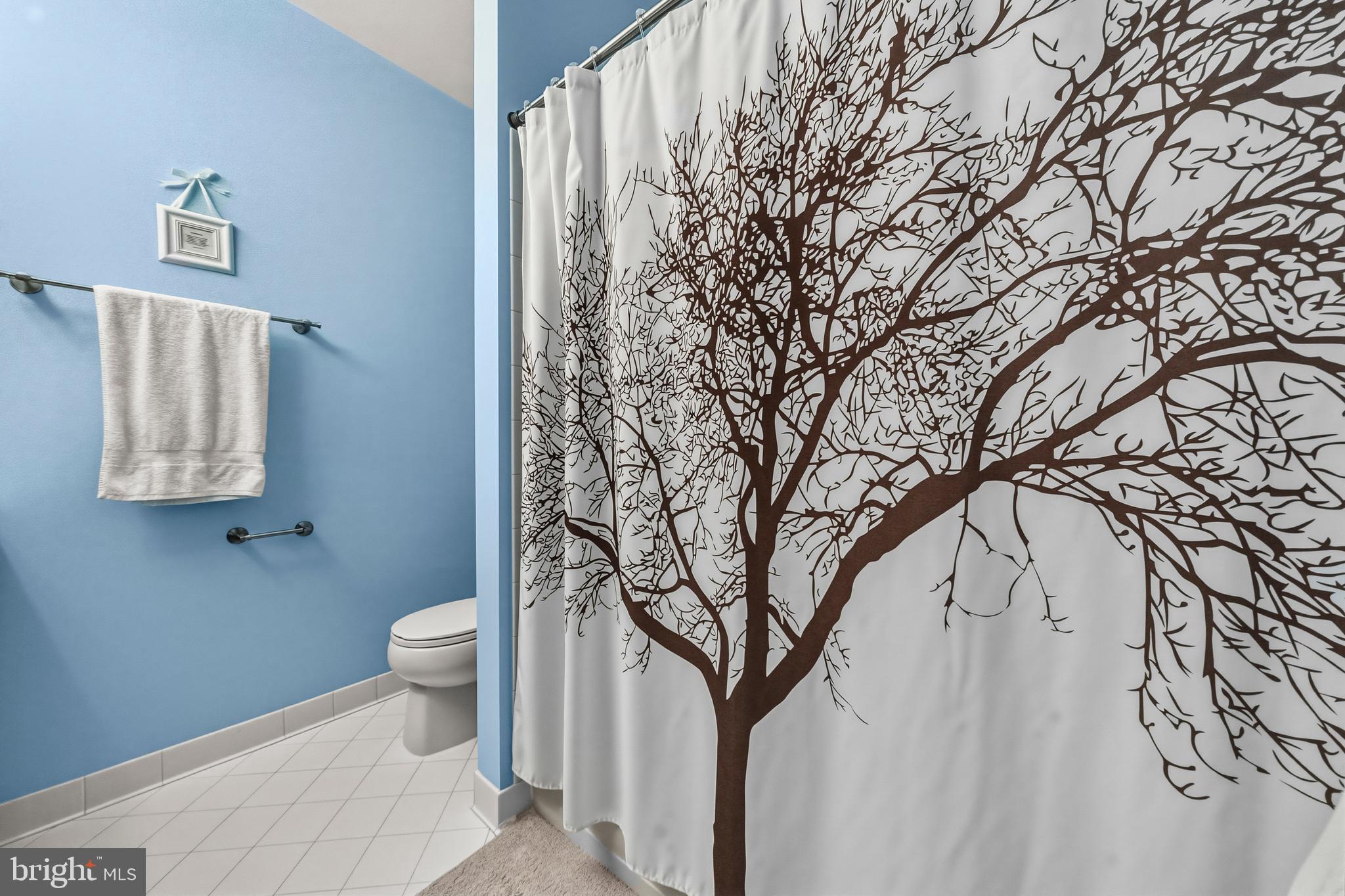 CLARKSBURG TOWN CENTER - Residential