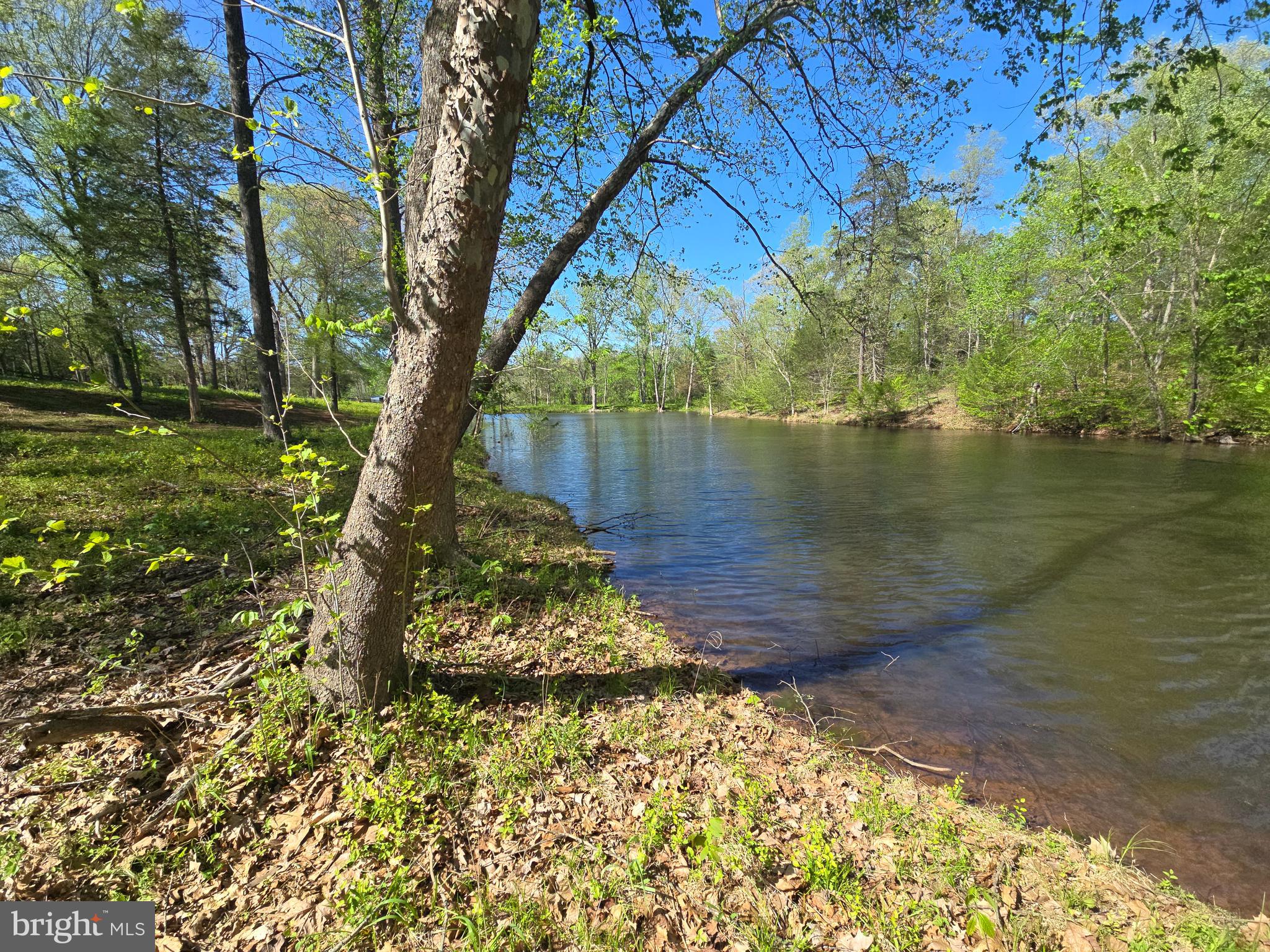 10955 POPLAR FORD TRAIL