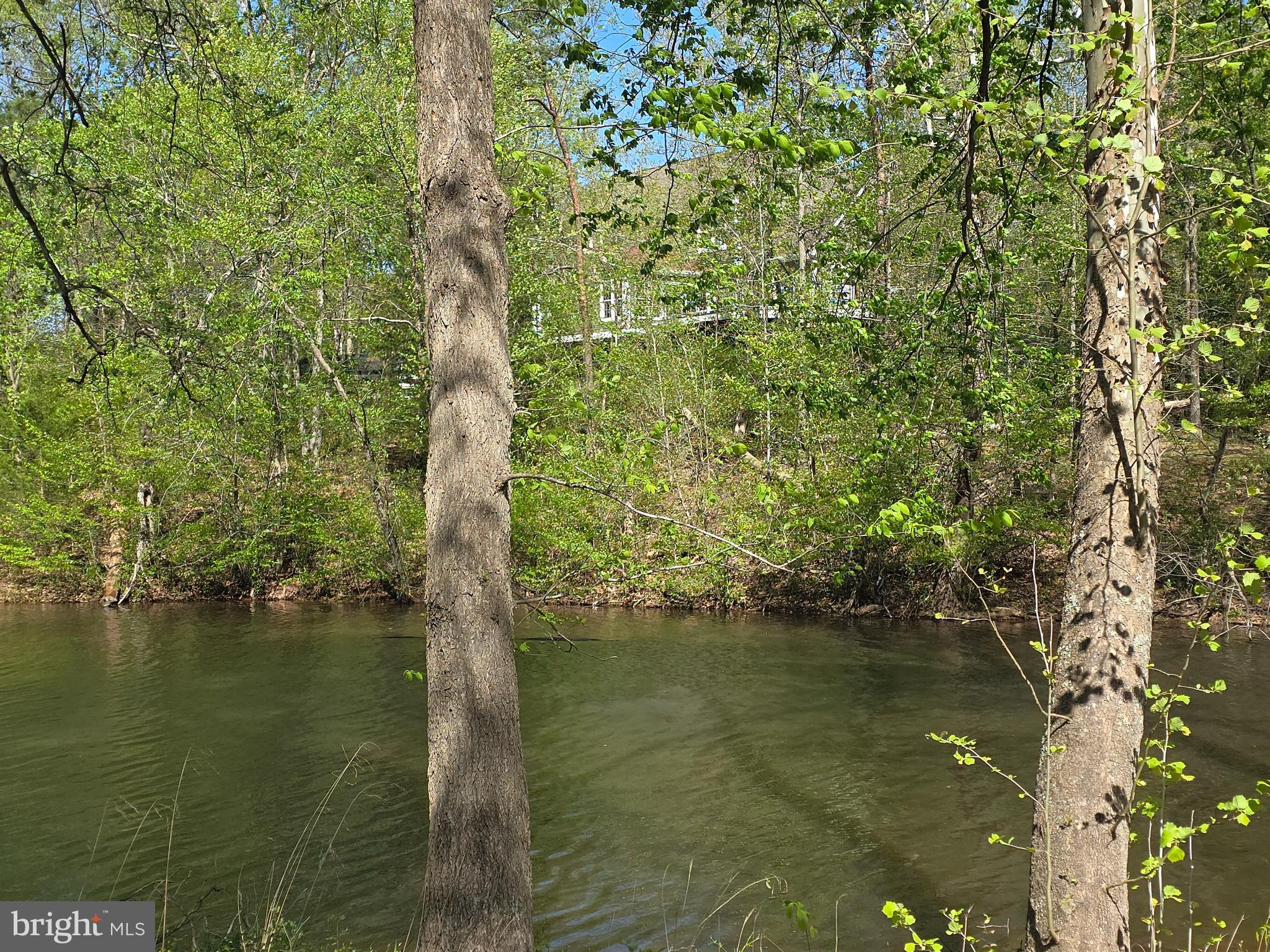 10955 POPLAR FORD TRAIL