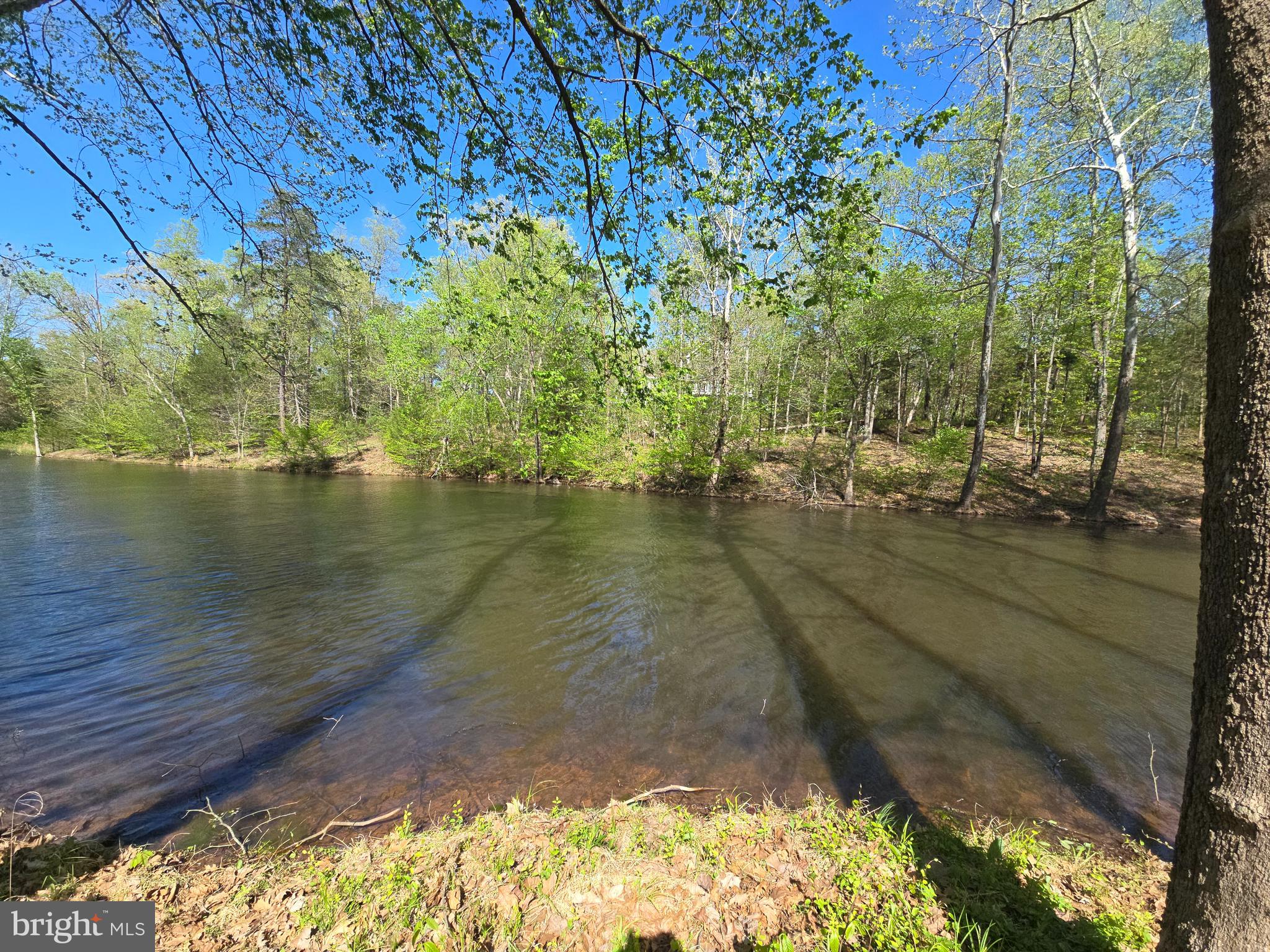 10955 POPLAR FORD TRAIL