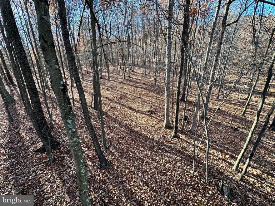 Baker, WV – 19.95 Acres with valuable timber throughout. Level to gently rolling land. 20 foot Deeded Right Of Way.  8 foot paths run through along with a small creek that runs through the property. Couple nice bubbling springs. No underbrush, perfect for Hunting.  Any game absolute Wildlife Hotel!  Completely Unrestricted Property with no fees,  attached and Very Low West VirginiaTaxes! Act Fast, This Won’t Last.