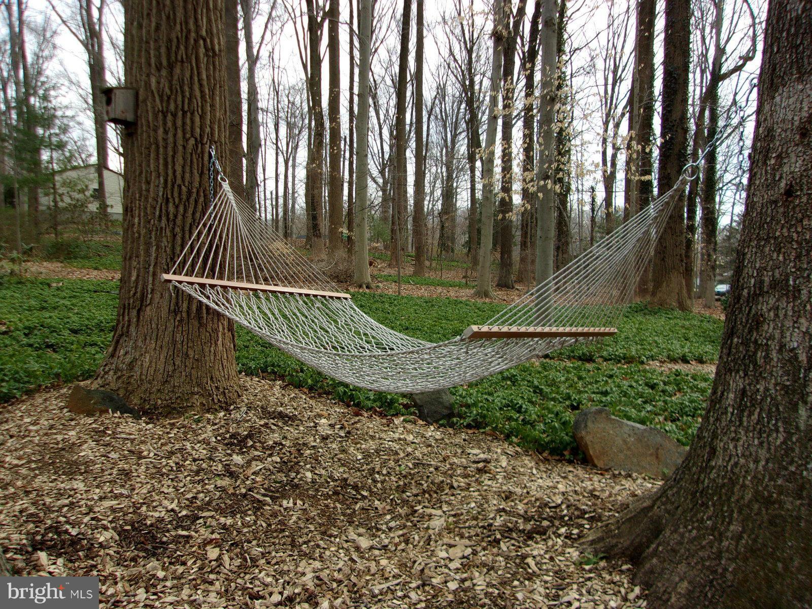 STONEYBROOK - Residential