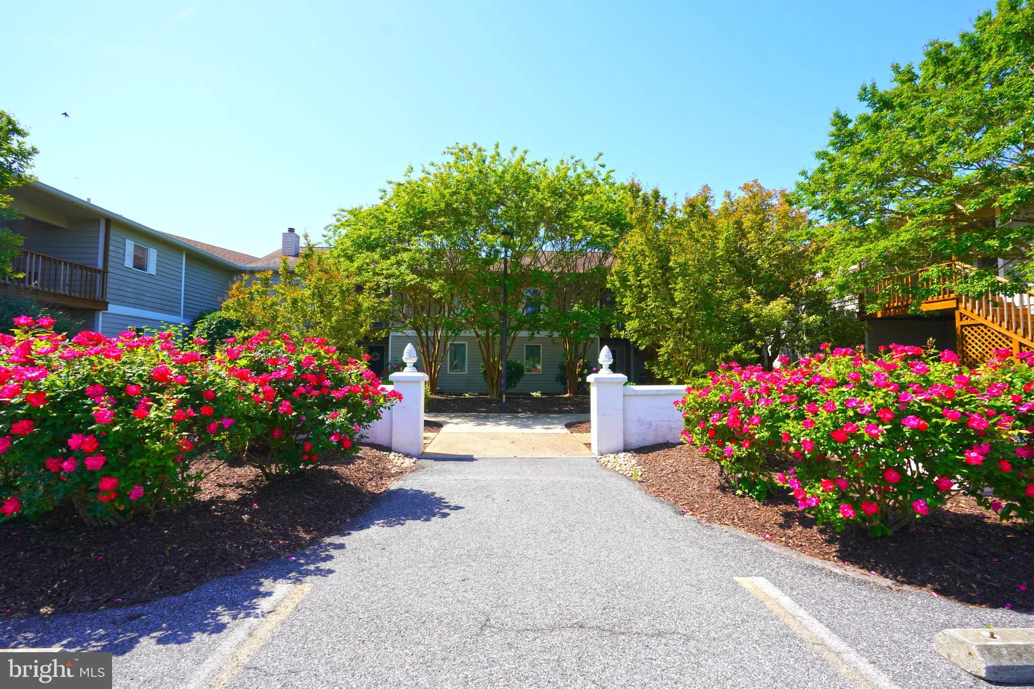 Lewes, Delaware 19958, United States, 3 Bedrooms Bedrooms, ,2 BathroomsBathrooms,Residential,Active,132104