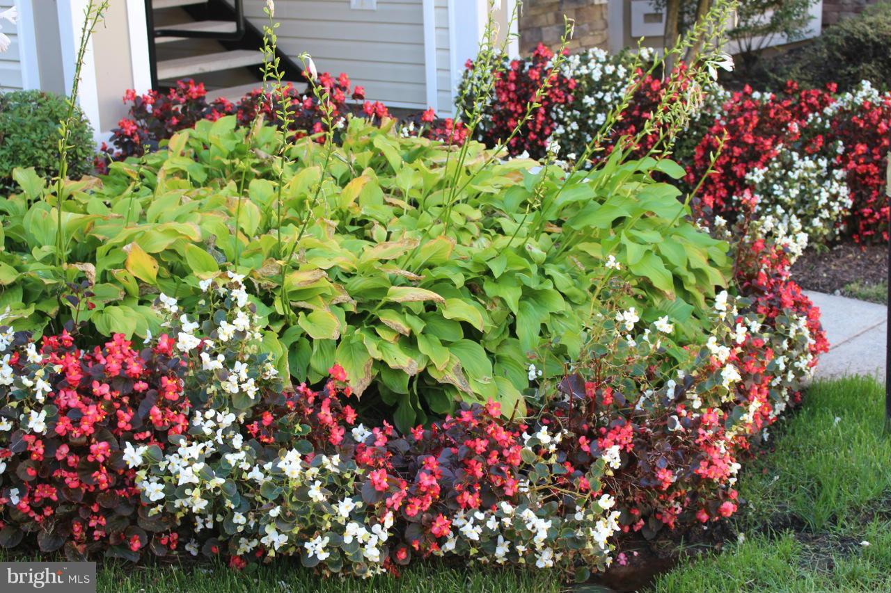 WESTCHESTER AT STRATFORD - Residential