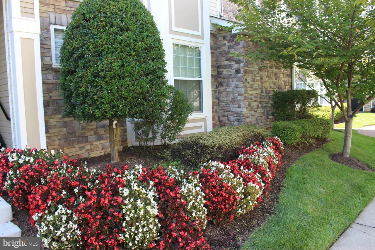 WESTCHESTER AT STRATFORD - Residential