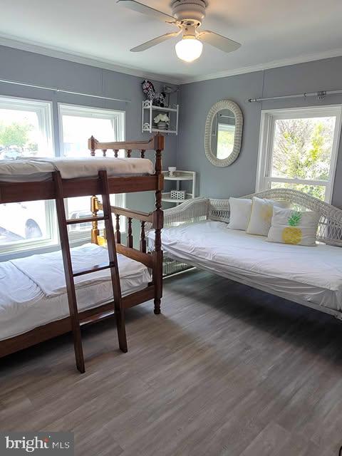 MYSTIC HARBOUR - Residential