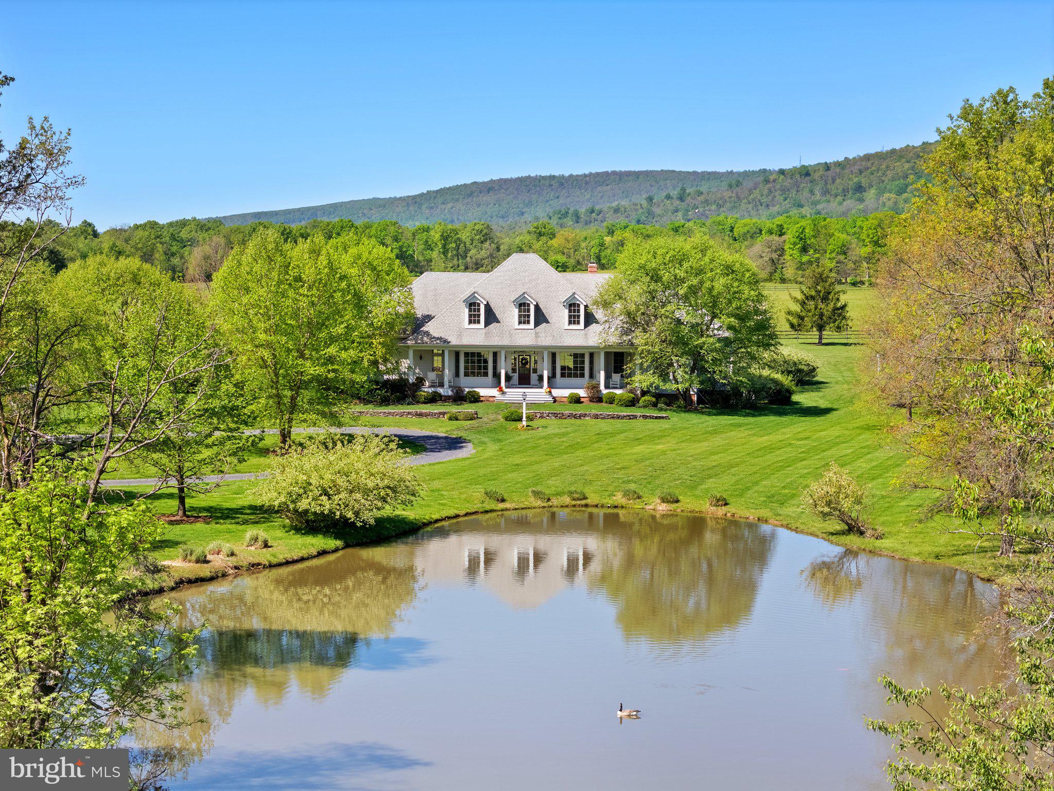 BLUEMONT - Residential