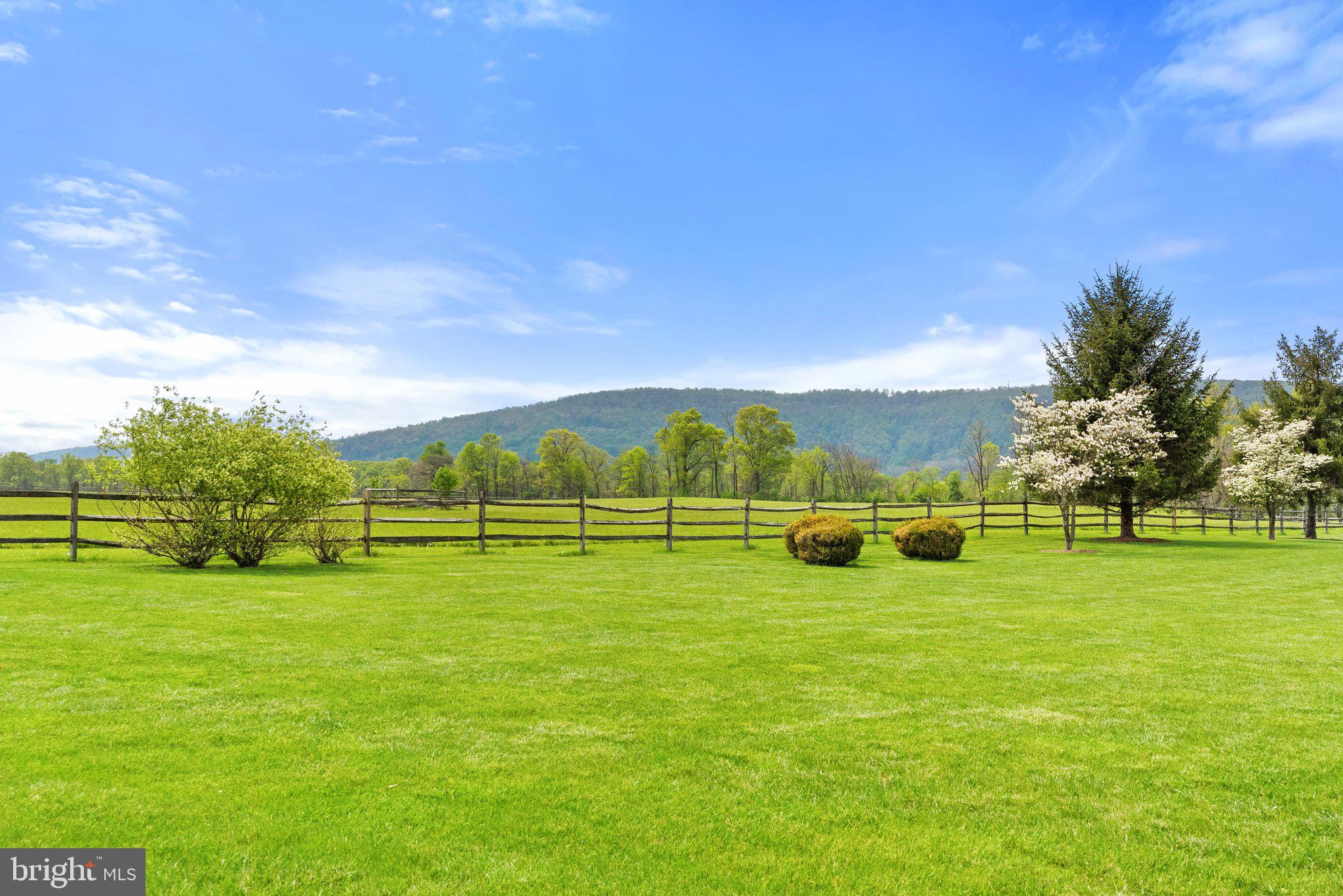 BLUEMONT - Residential