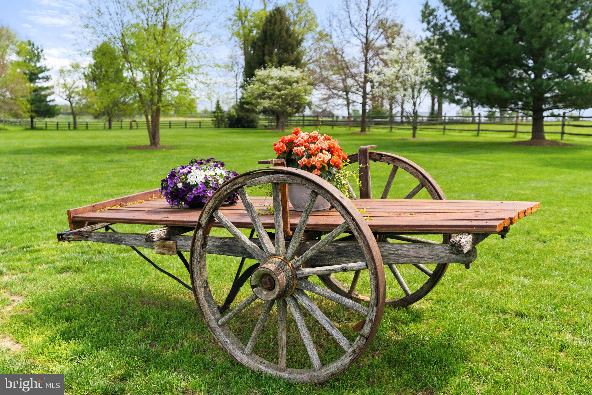 BLUEMONT - Residential