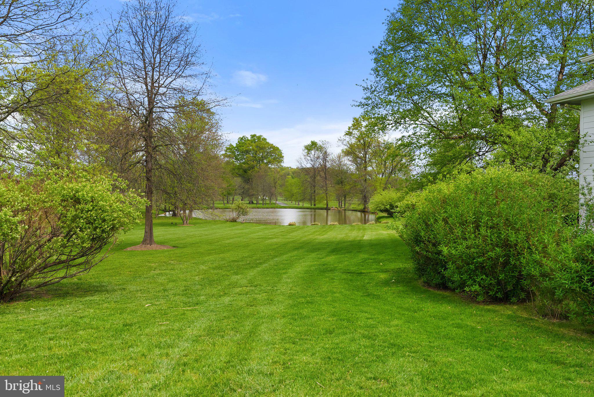 BLUEMONT - Residential