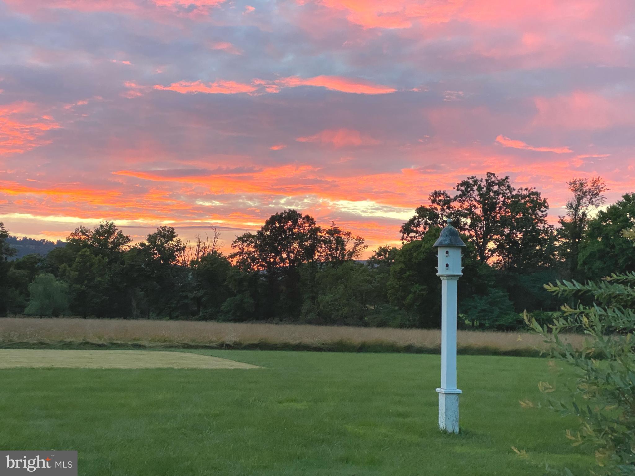 BLUEMONT - Residential