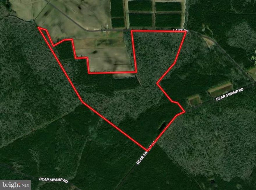 151.47+/-  acres in standing timber with road frontage on Laws Road and Bear Swamp Road in Parsonsburg, MD. Timber is a mixed stand of hardwoods in the interior surrounded by managed pine. Numerous access trails with access points from two public roads make for ideal hunting opportunities for Whitetail and Turkey.  A lot line adjustment was performed. Property is not encumbered with any Conservation Easements. DO NOT ENTER PROPERTY WITHOUT PERMISSION OF THE LAND GROUP.