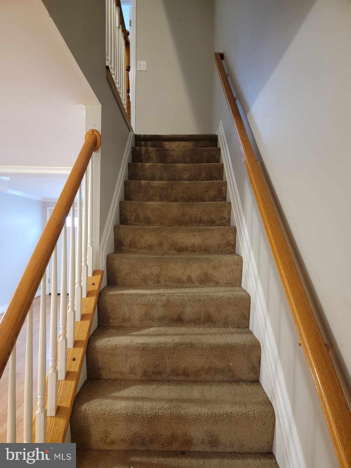 HOLLINS MARKET - Residential