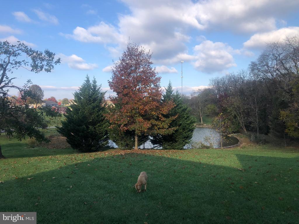 CLOVER MEADOWS - Residential