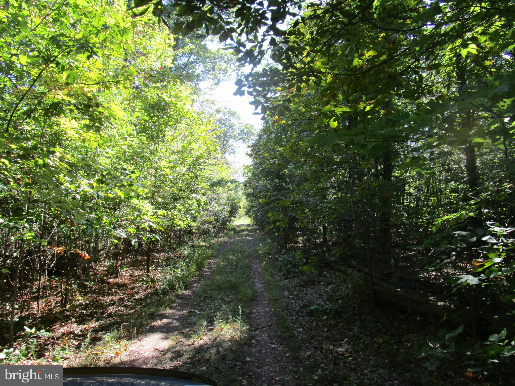 NONE AVAILABLE - Land