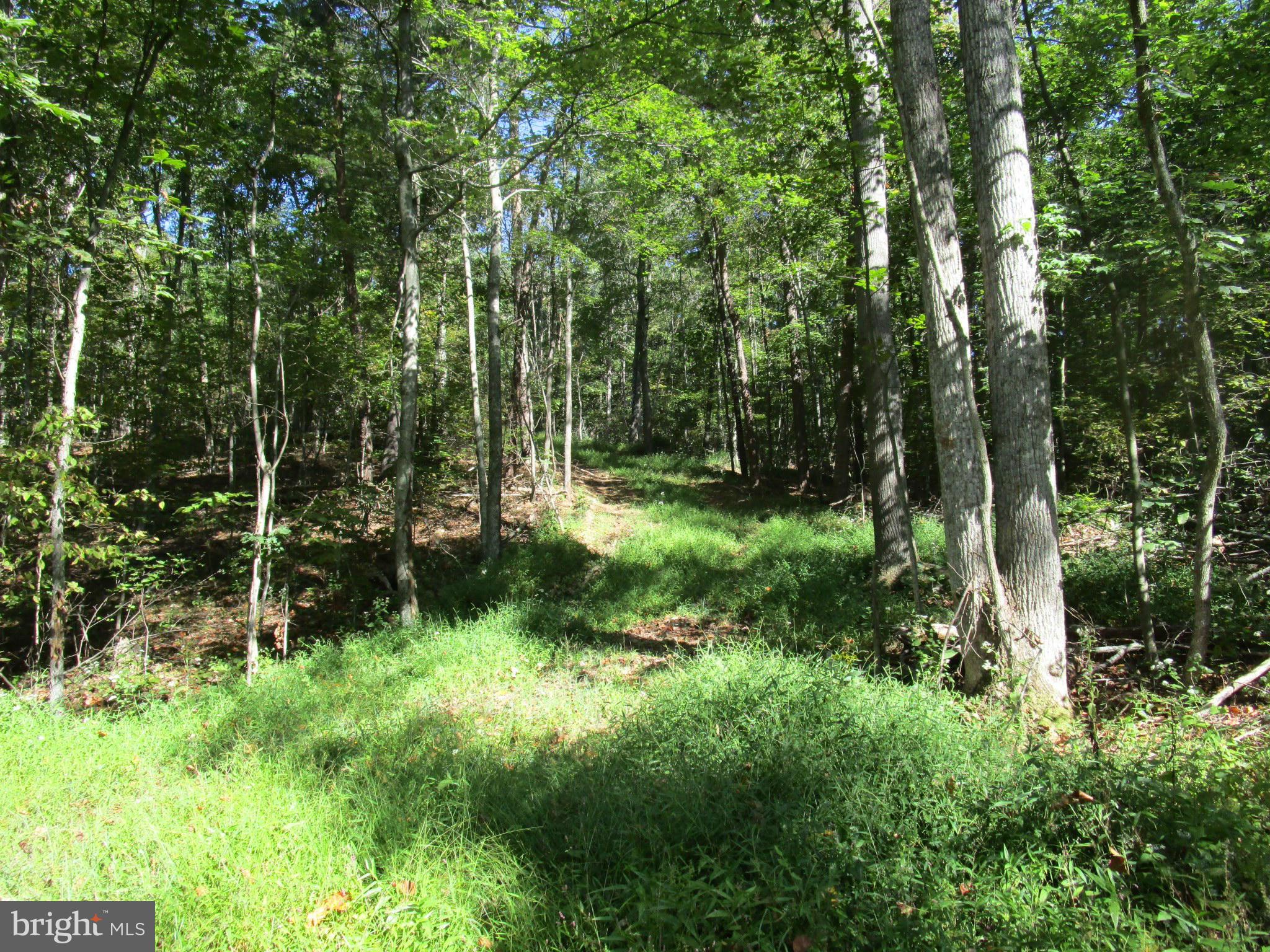 NONE AVAILABLE - Land