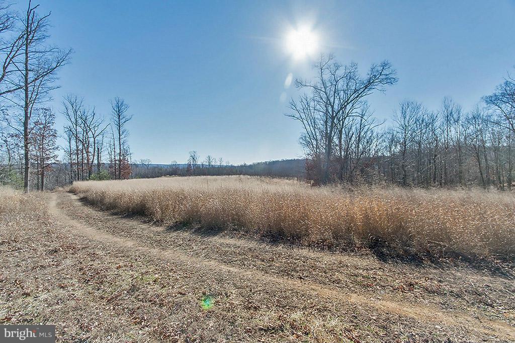 NONE AVAILABLE - Land