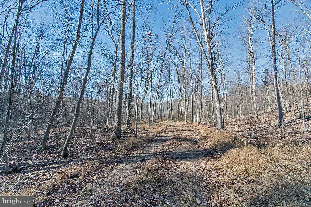 NONE AVAILABLE - Land