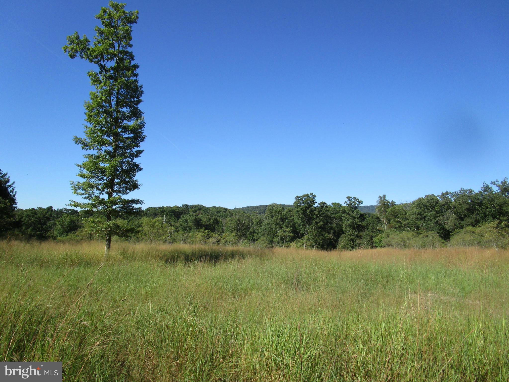 NONE AVAILABLE - Land