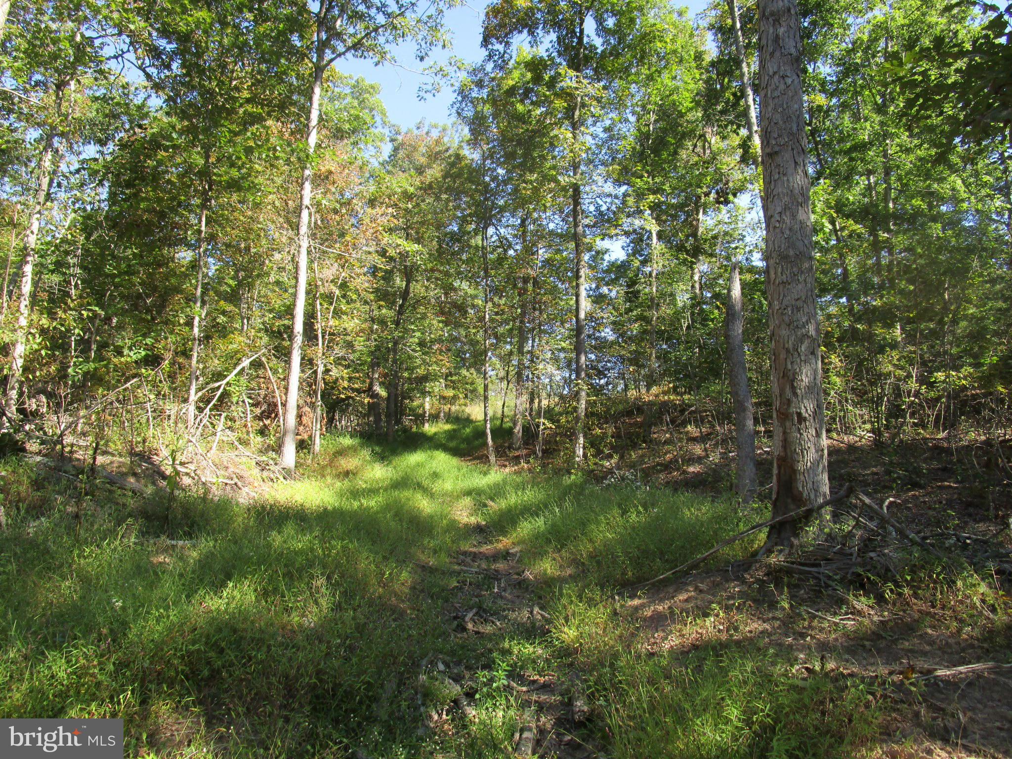 NONE AVAILABLE - Land