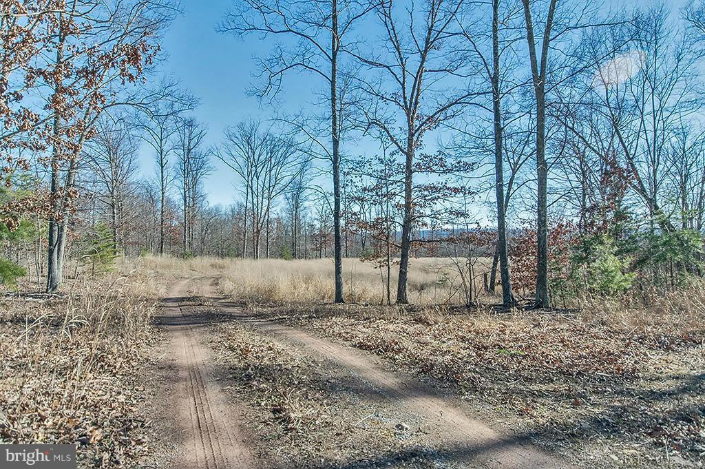 NONE AVAILABLE - Land