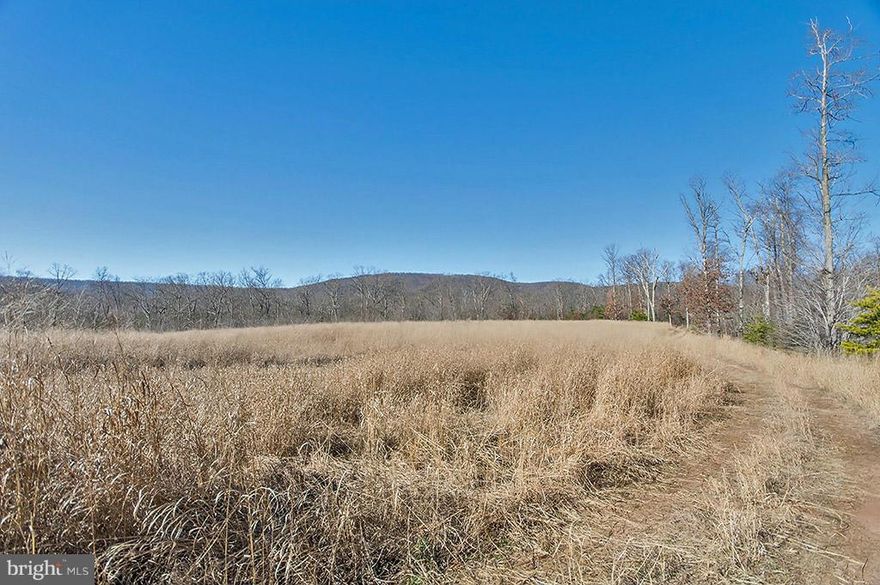 PERFECT INVESTMENT OPPORTUNITY! Or use for a great piece of hunting property. 82.6 acres. Unrestricted, level and partially wooded parcel of land that features a stream at the rear of the property. An outdoor paradise and only 20 minutes to I-81.