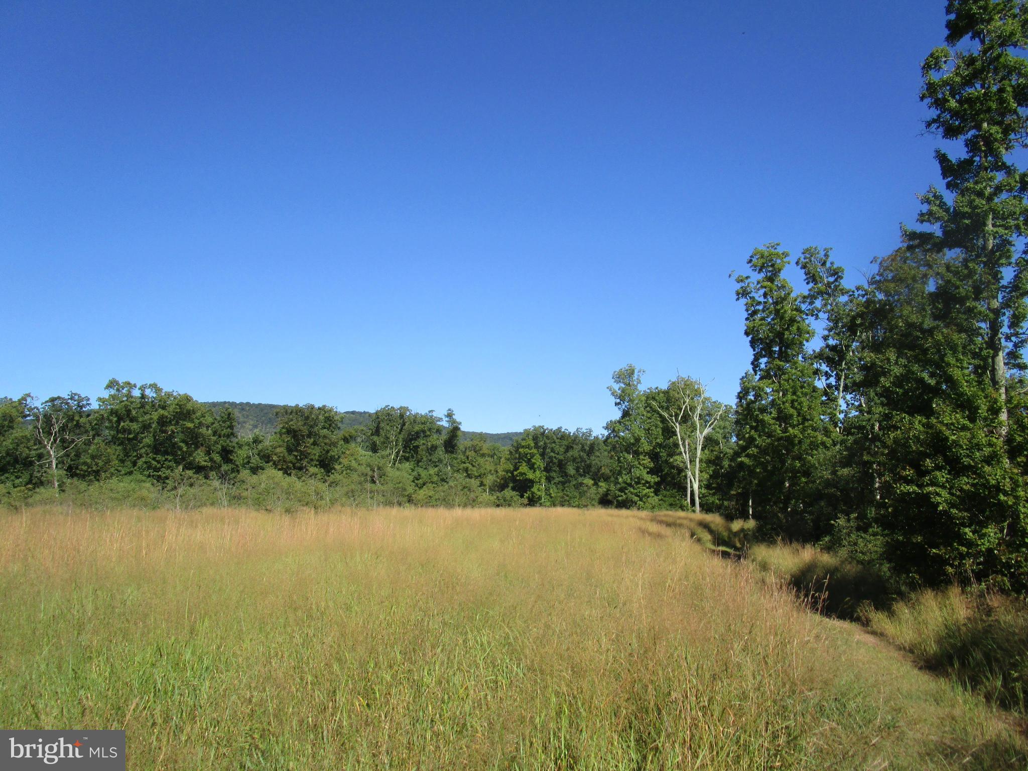 NONE AVAILABLE - Land