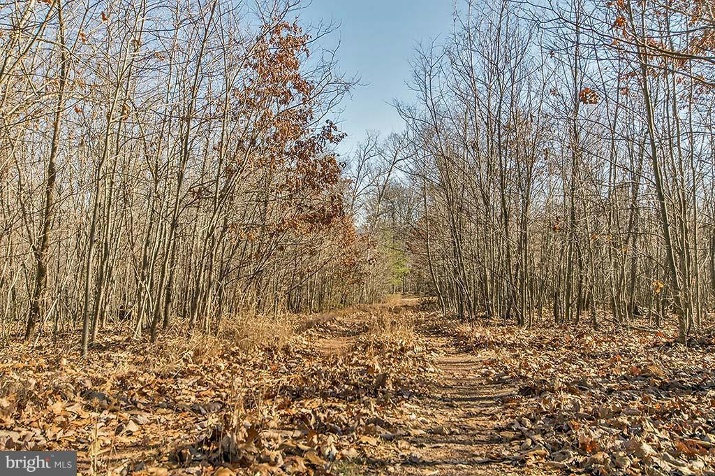 NONE AVAILABLE - Land