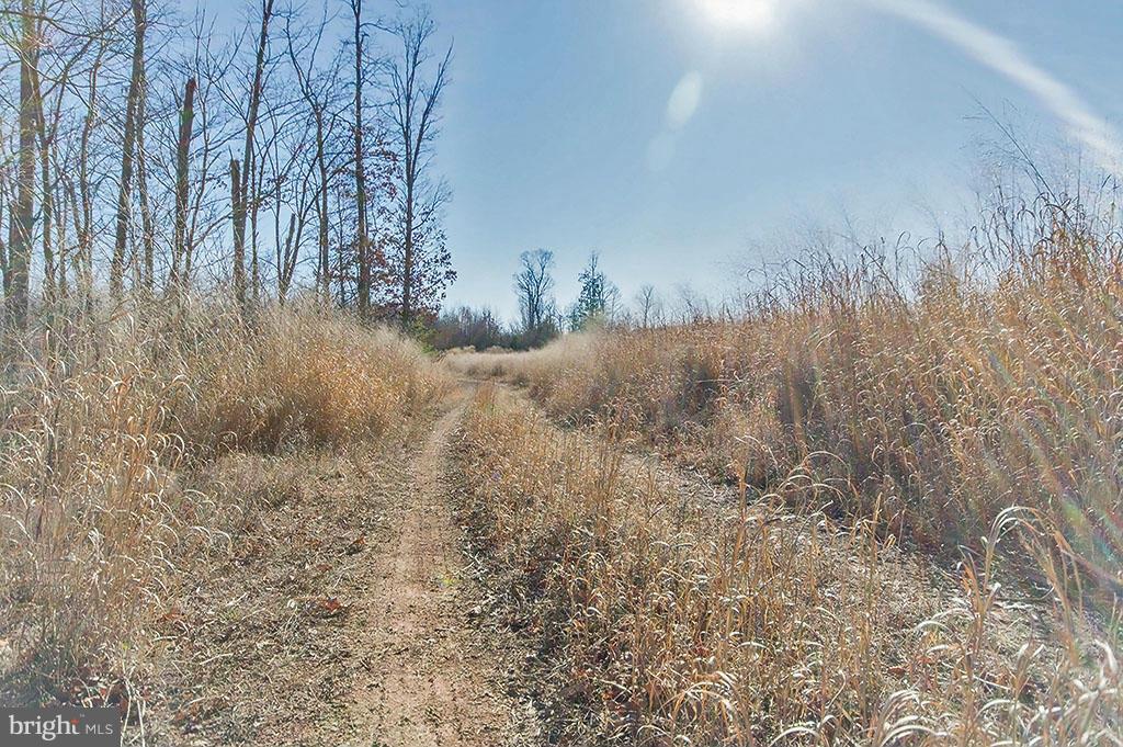 NONE AVAILABLE - Land