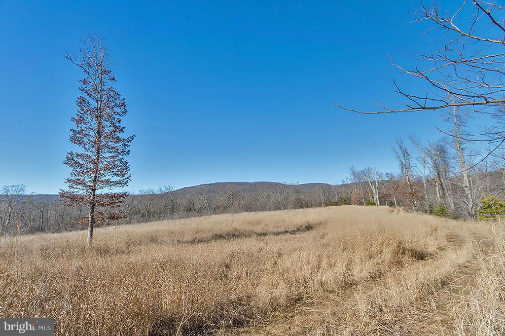 NONE AVAILABLE - Land